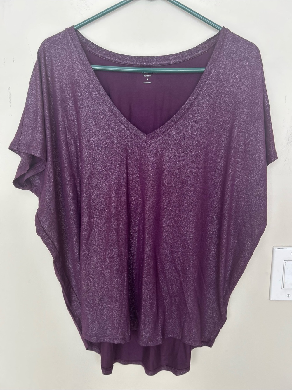 NWOT Express Women's Shimmery Plum shimmer V-Neck Top relaxed fit. Size Medium